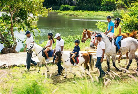 maritim equestrian centre